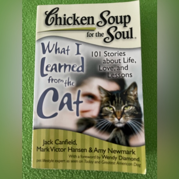 Chicken Soup for the Soul Grandma’s Soul & What I Learned from the Cat books - Picture 4 of 4